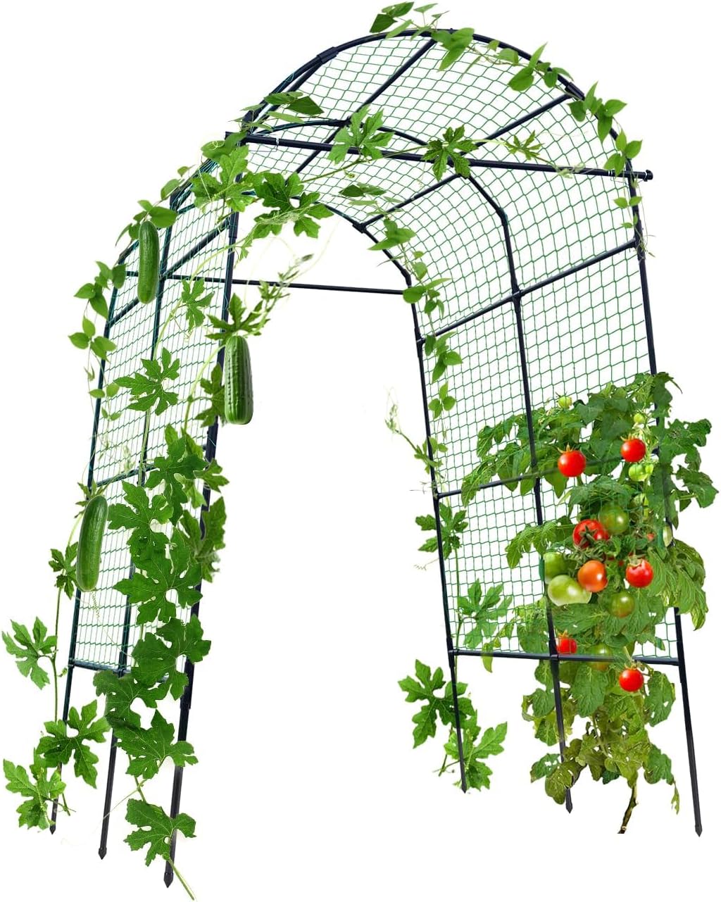 Cucumber Trellis, 6.7ft Tall Garden Arch Trellis for Climbing Plants Outdoor Arbor Support Vine Vegetable Tomato Bean Pea Grape Squash Pumpkin Cucumber Trellis Raised Bed, Lightweight, Black