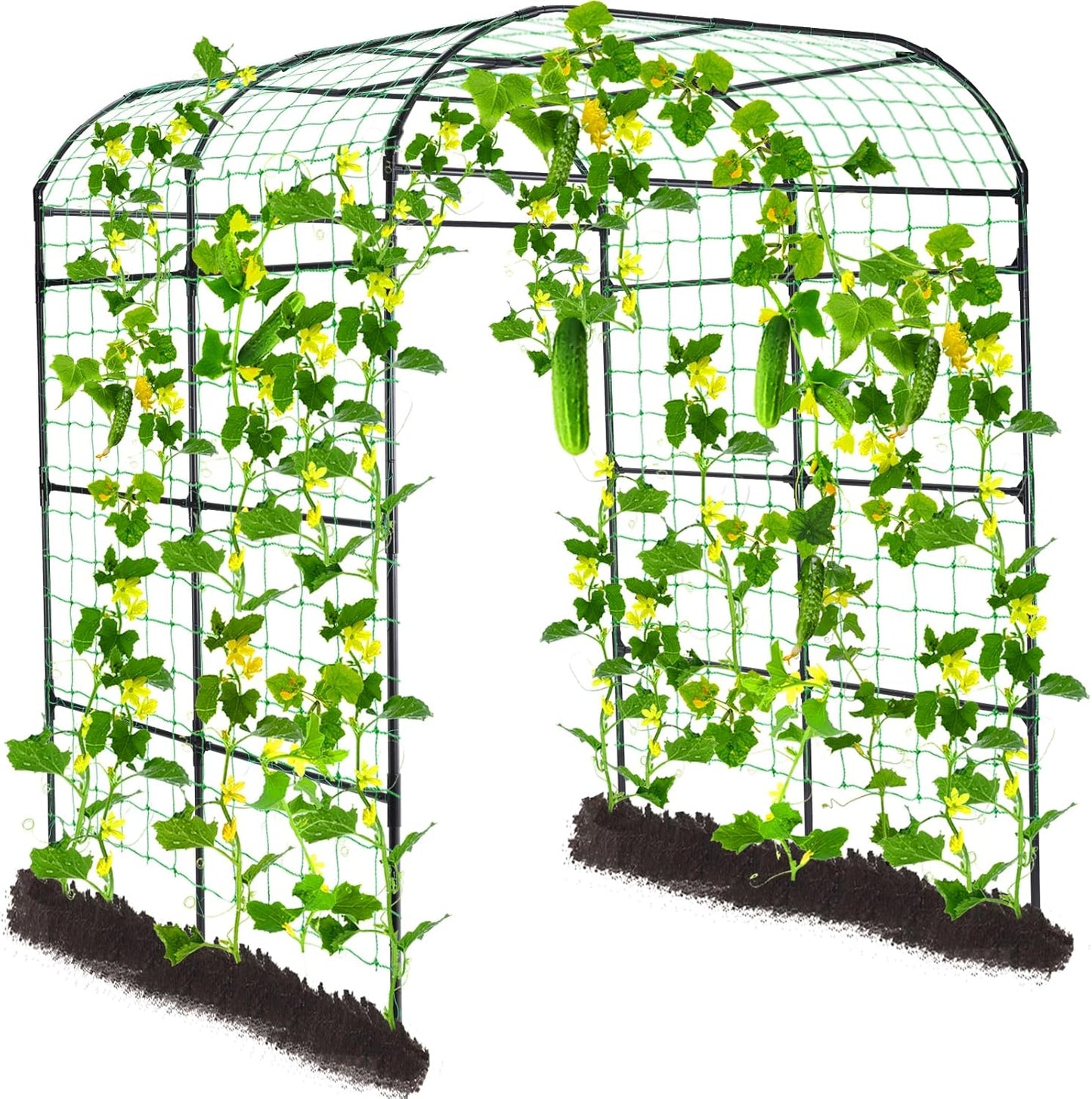 Lalahoni Garden Arch Trellis for Climbing Plants Outdoor, 80 Inch Tall Grape Trellis Metal Vine Plants Support Flower Vegetable Tomato, Cucumber Trellis for Raised Bed, Black