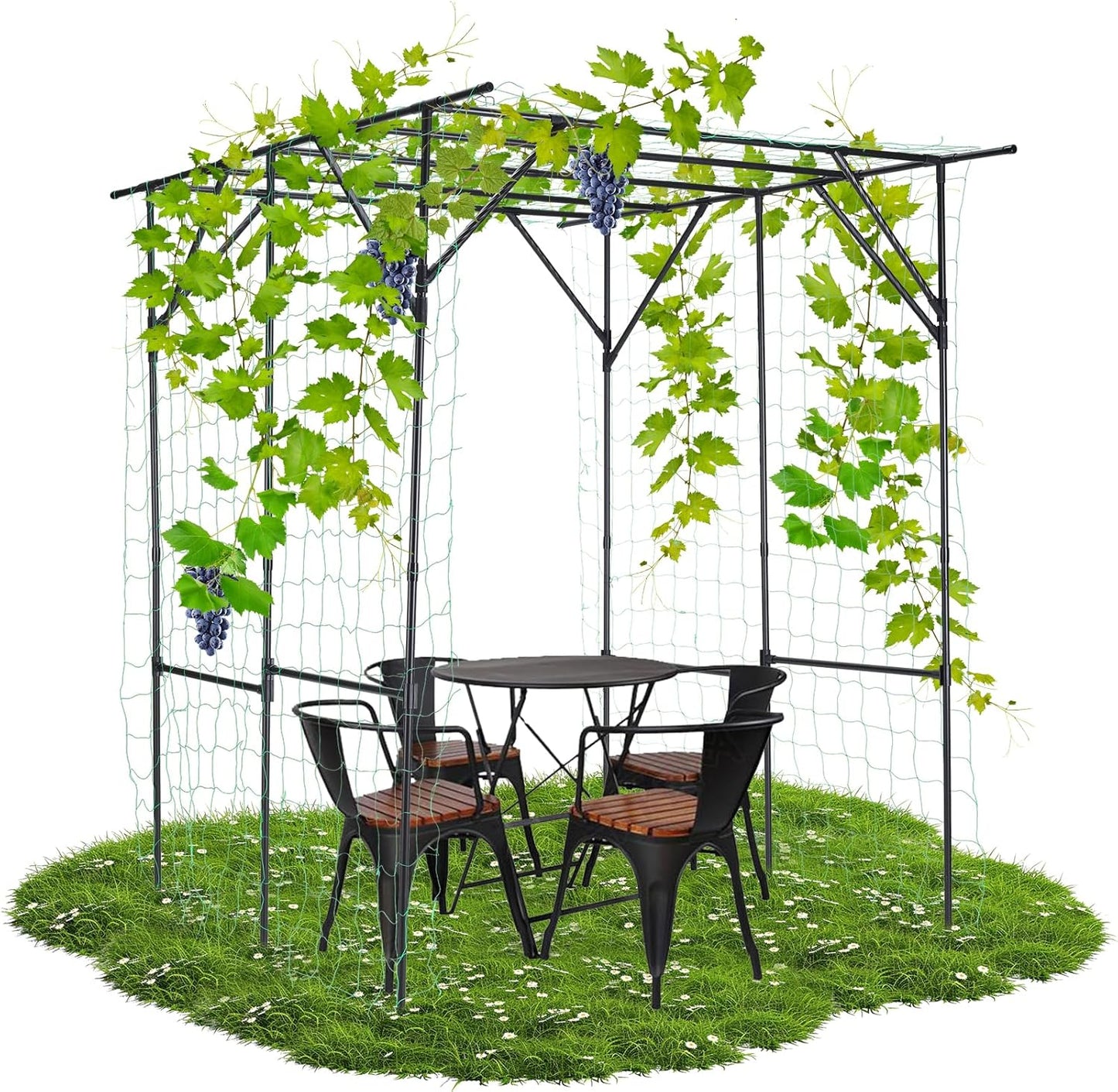 Lalahoni Garden Arch Trellis for Climbing Plants Outdoor, 80 Inch Tall Grape Trellis Metal Vine Plants Support Flower Vegetable Tomato, Cucumber Trellis for Raised Bed, Black
