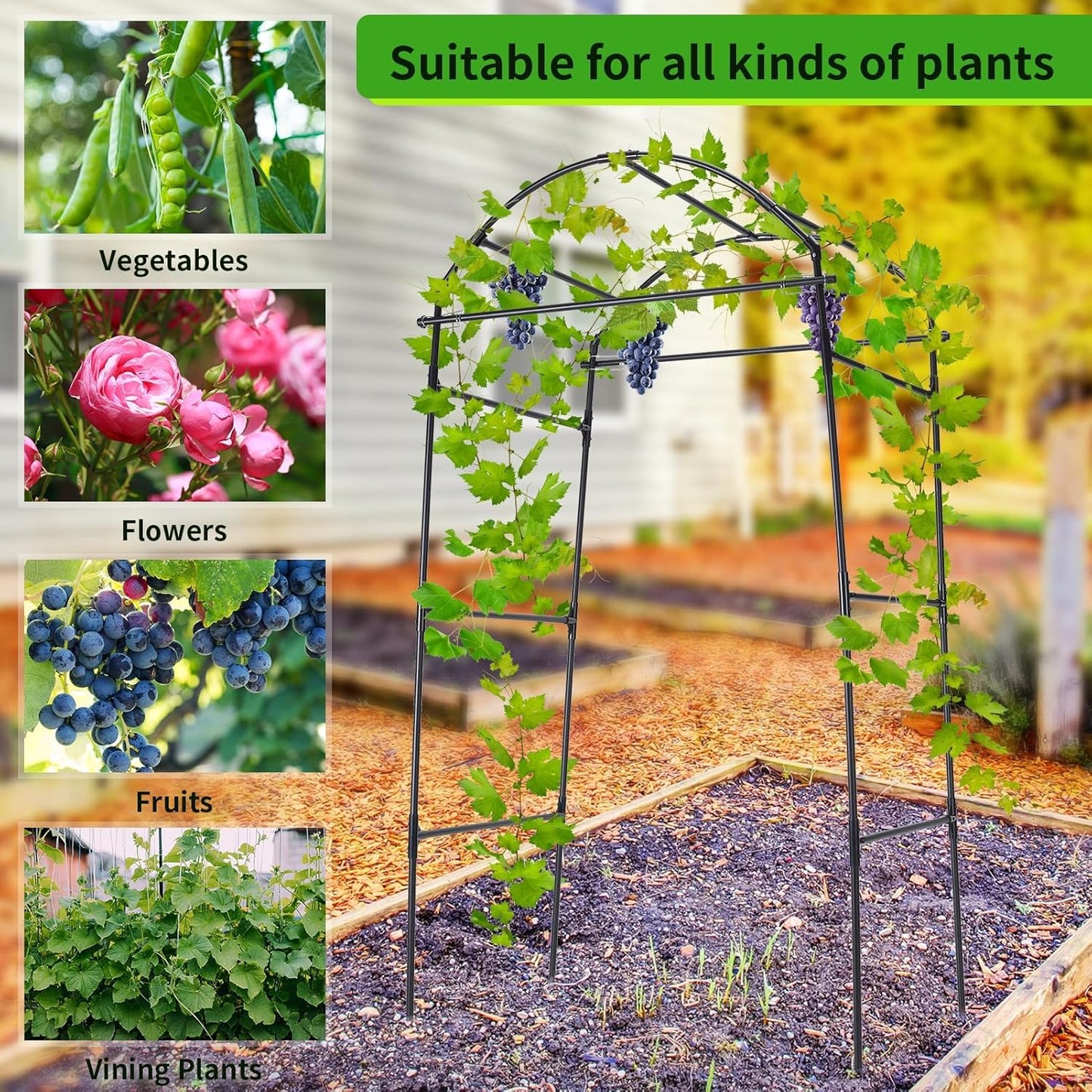 Cucumber Trellis, 6.7ft Tall Garden Arch Trellis for Climbing Plants Outdoor Arbor Support Vine Vegetable Tomato Bean Pea Grape Squash Pumpkin Cucumber Trellis Raised Bed, Lightweight, Black